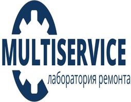 MULTISERVICE - Нижний Новгород - логотип