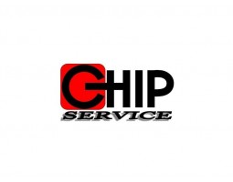 Чип Сервис (Доктор Холод) - Самара - логотип