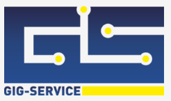 Сервисный центр Gig-Service - Владивосток - логотип