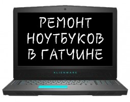 Компьютерный сервис 47ФПС - Гатчина - логотип