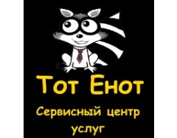 сервисный центр услуг Тот Енот - Камышин - логотип