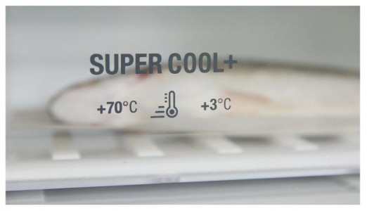 Холодильник Hotpoint-Ariston HFP 8202 XOS - фото - 4