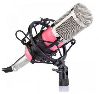 Микрофон FZONE BM-800 - фото - 13