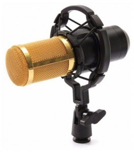 Микрофон FZONE BM-800 - фото - 11