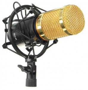 Микрофон FZONE BM-800 - фото - 6