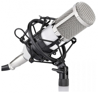 Микрофон FZONE BM-800 - фото - 4