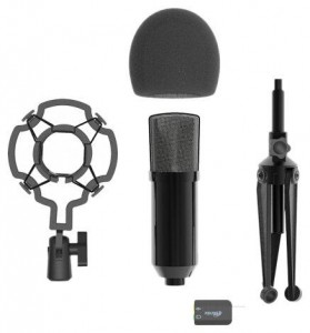 Микрофон Ritmix RDM-160 - фото - 8