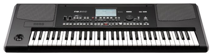 Синтезатор KORG Pa300 - фото - 2