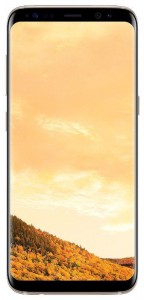 Смартфон Samsung Galaxy S8  64GB - фото - 13